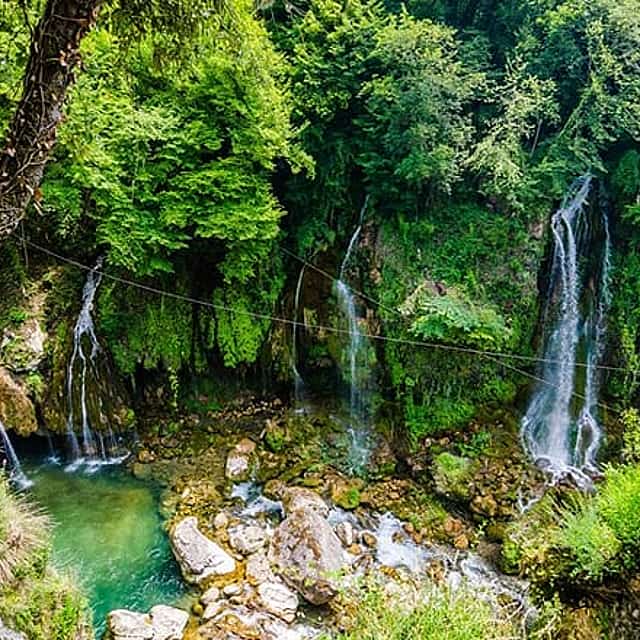 Discover Our Fields and Lake Full-Day Shared Tour from Nice