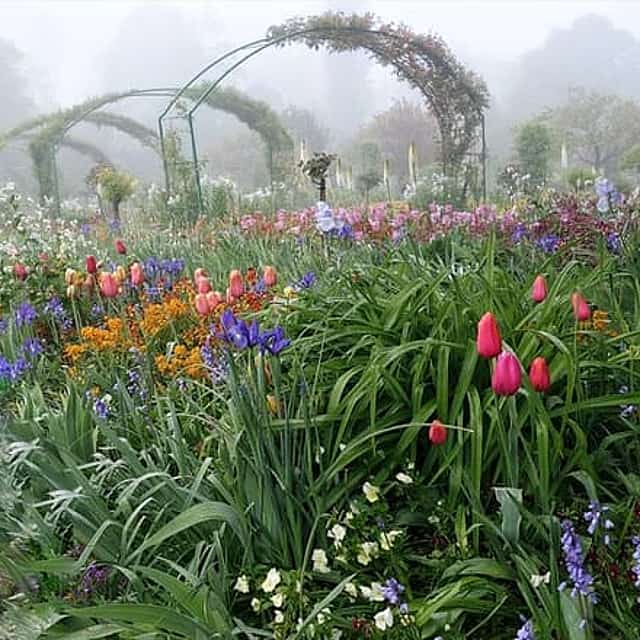 Audio Tour in Giverny and Versailles with Pick up and Drop off