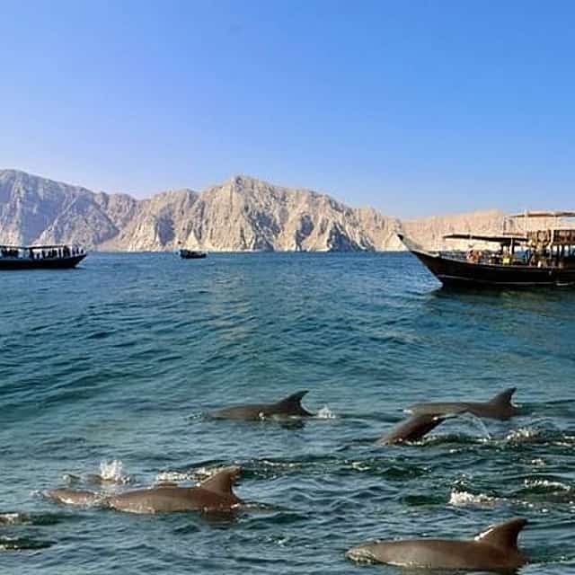 Musandam - Khasab Tour