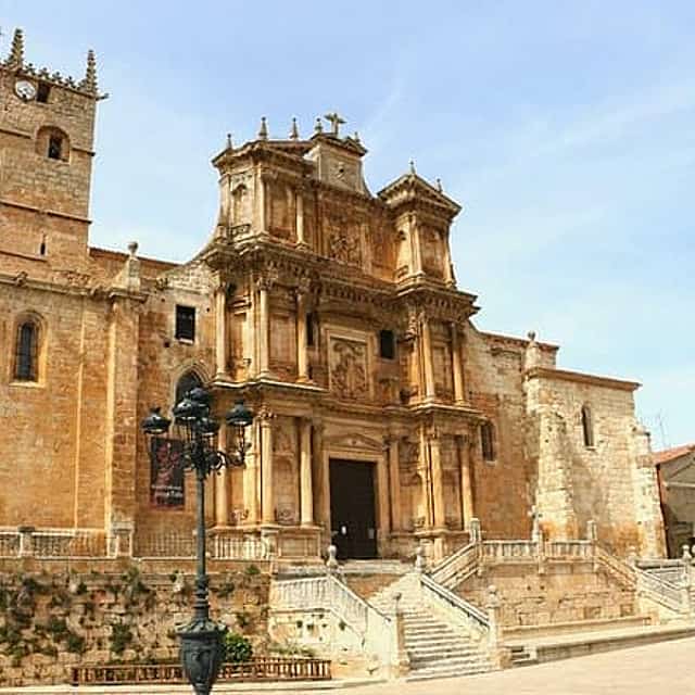 Complete Tour of Ribera del Duero - From Madrid