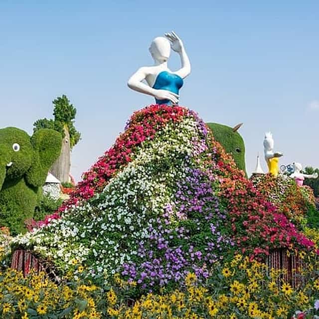Miracle Garden and Butterfly Garden Combo