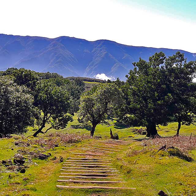 "Excursión de día completo a pie por Fanal y Assobiadores"
