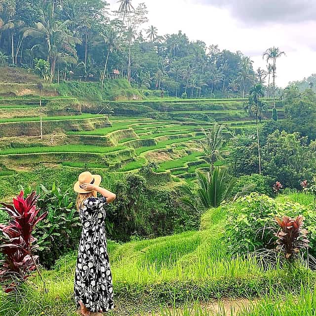 Ubud All Inclusive Tour: Best of Ubud