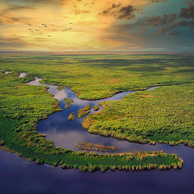 Everglades-Tour ab Miami mit Transport (kleine Gruppen)
