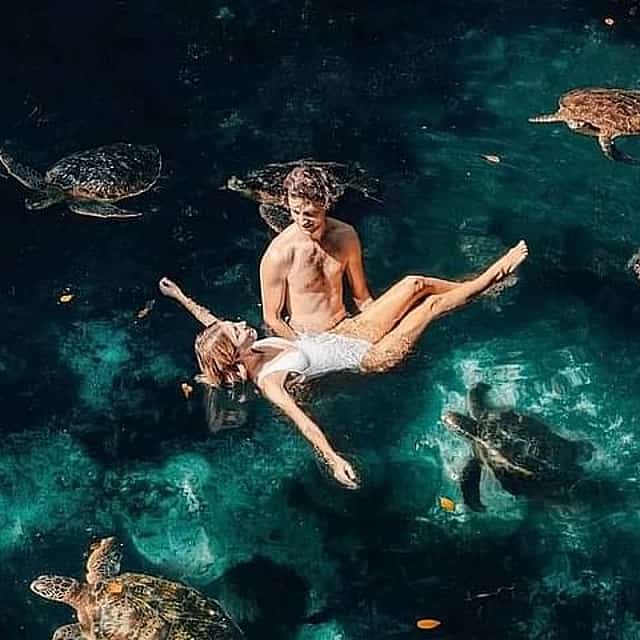 Nungwi Turtle Aquarium Guided Half-Day Trip in Zanzibar