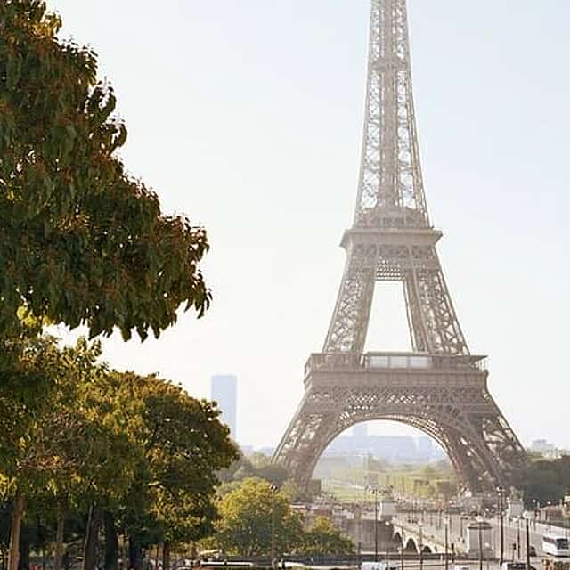 Eiffel Tower Summit with a Bottle of Champagne