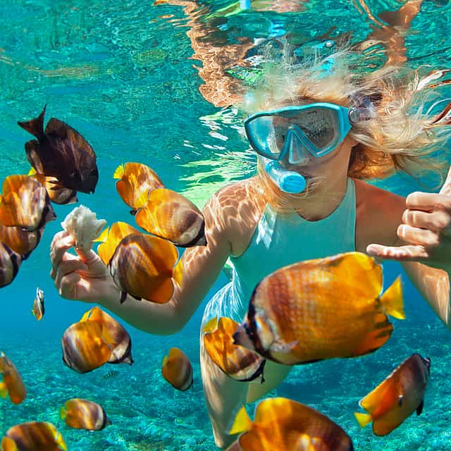 Snorkeling Tour at Blue Lagoon Beach