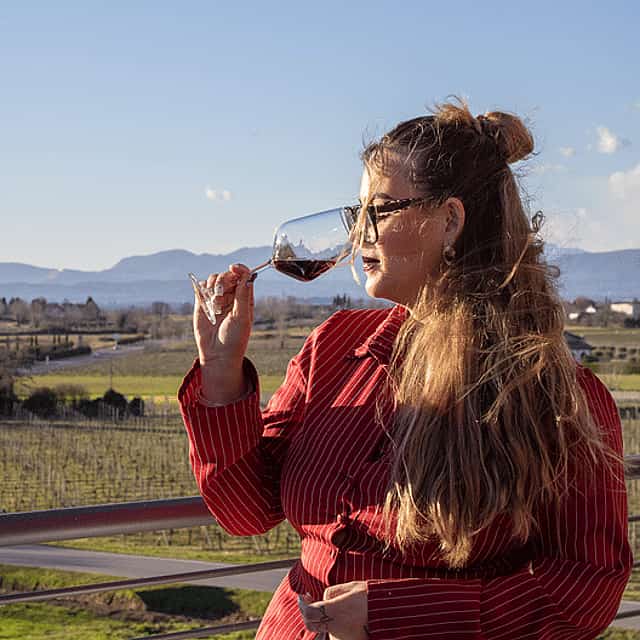 Tasting of 6 wines with vineyard and cellar tour in Lazise