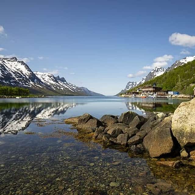Tromsø: Fjord Adventure Tour with Wildlife and Lunch