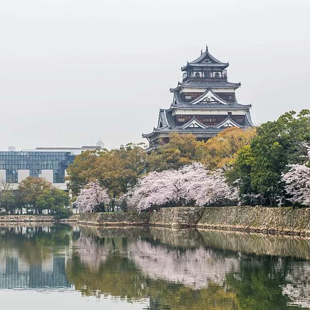 Excursión individual por Tokio con guía en taxi.
