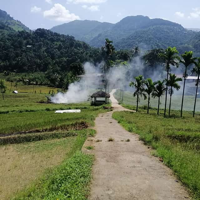 From Kandy Private Guided Hike to Knuckles Mountains Heeloya Village