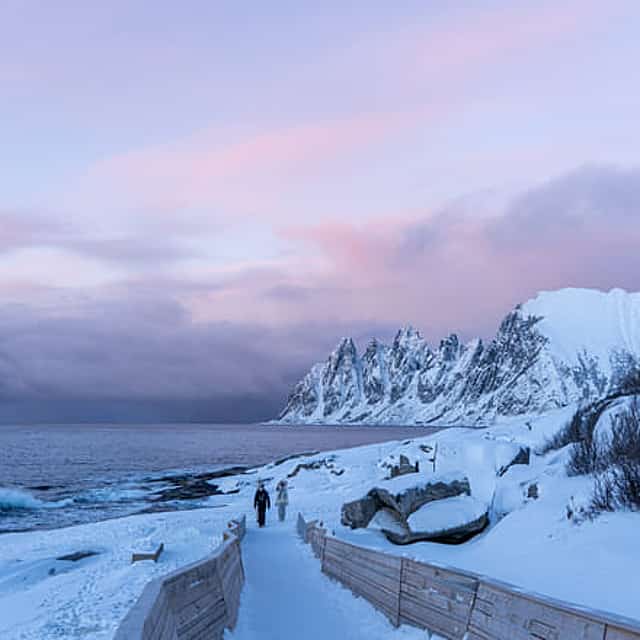 From Tromsø: Full-Day Senja Tour with Scenic Ferry & Lunch