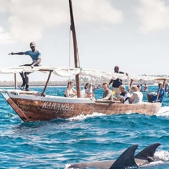 Kizimkazi Dolphin Tour in Zanzibar