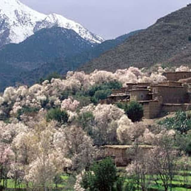 Asni & Tassa Ouirgane Full-Day Trip