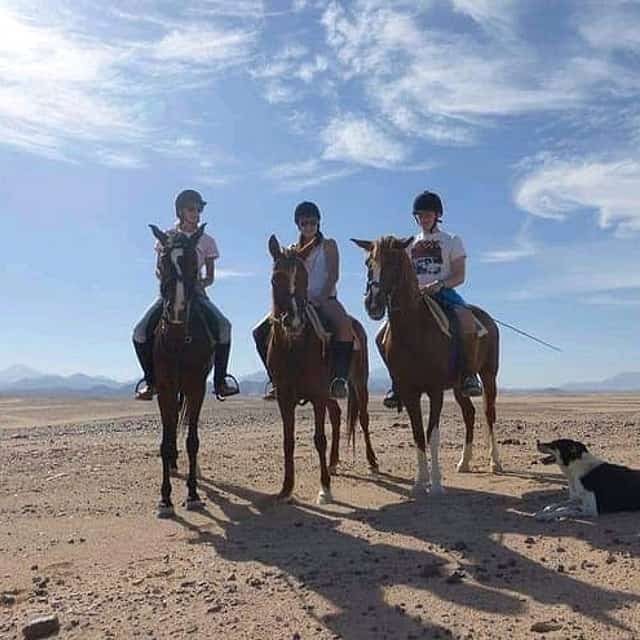 Horseback riding Marsa Alam