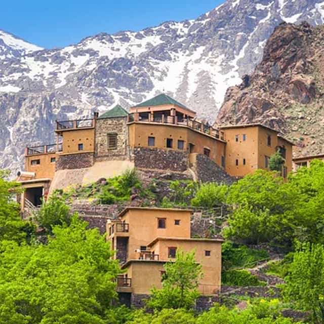 Berber Hospitality