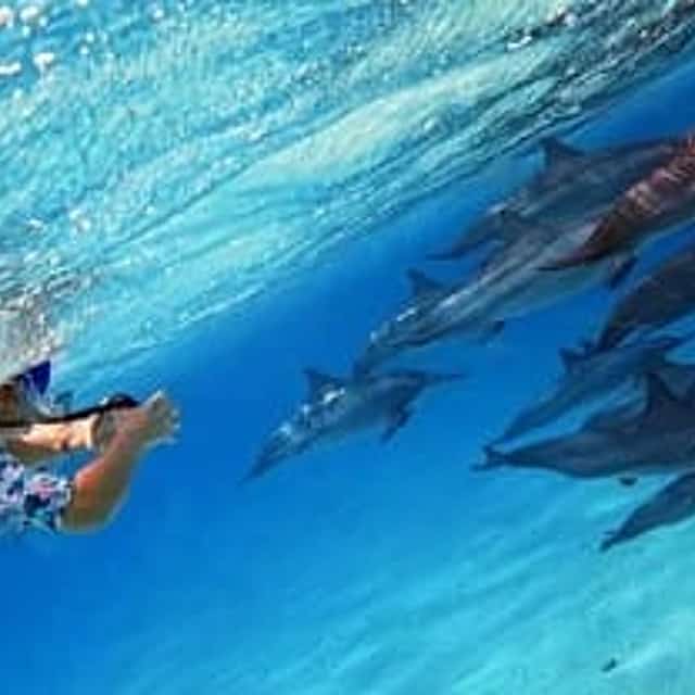 TH Special: Sataya Reef Gradens Snorkeling Day Trip