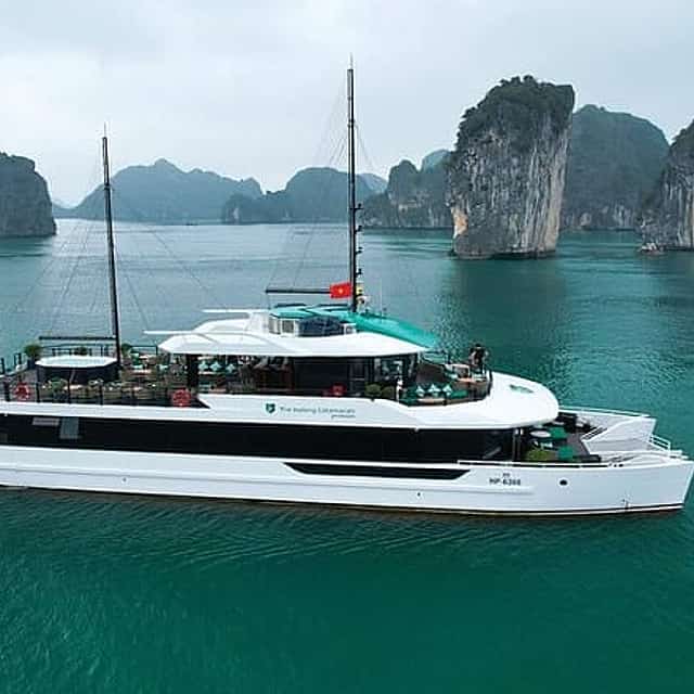 From Ninh Binh: 1 Day Lan Ha Bay Premium Cruise