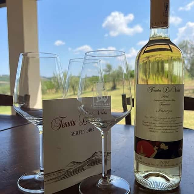 Discover Italian Wines: Exclusive 6 Wine Tastings at Tenuta La Viola