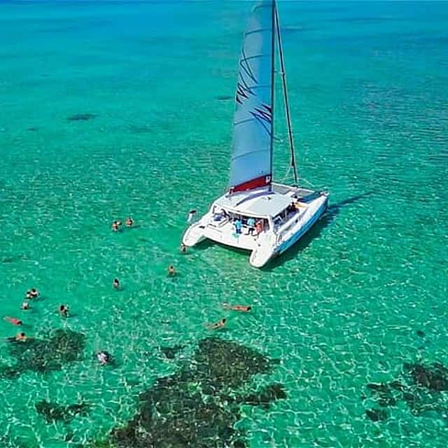Private Catamaran to Ile aux Benitier, Crystal rock & Dolphin encounters & Lunch