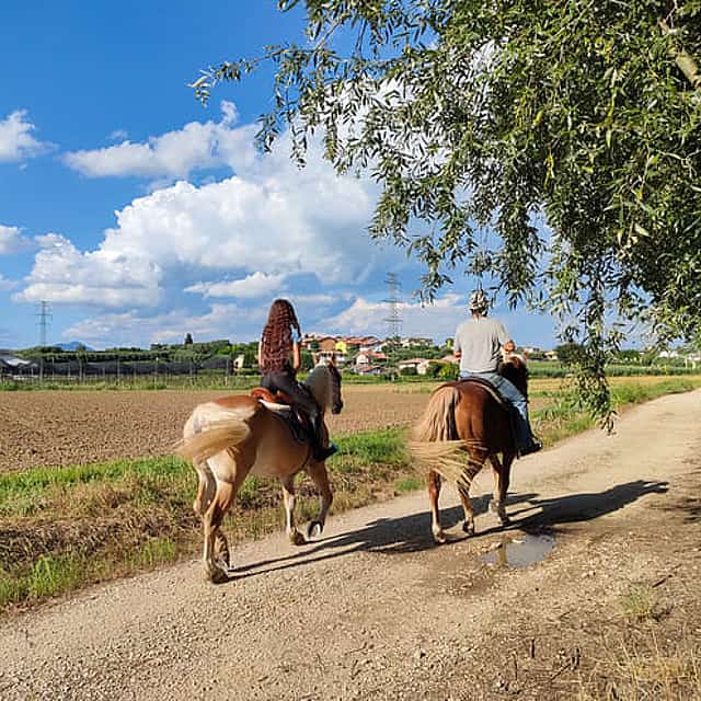Horseback riding with Pic Nic in Lazise countryside
