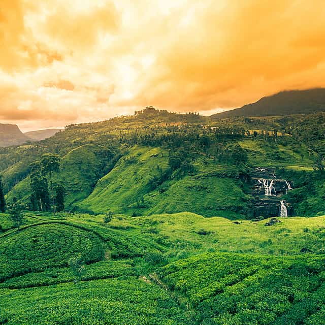 Private Jungle Expedition Tour
