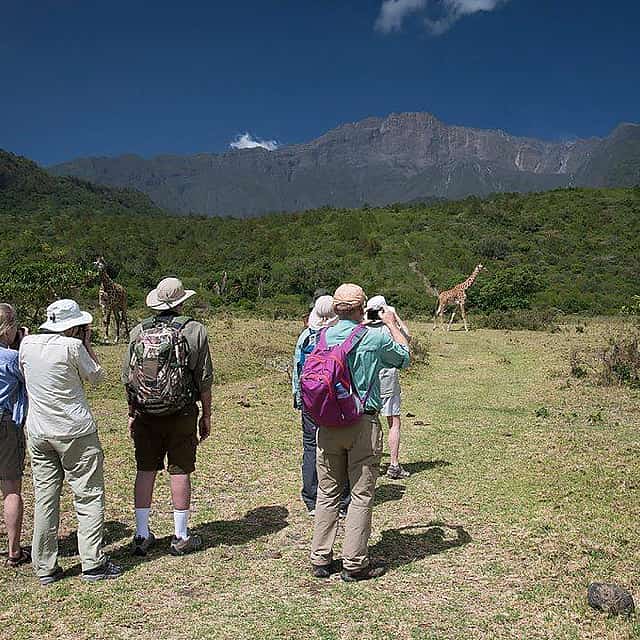 Arusha National Park Full-day Tour
