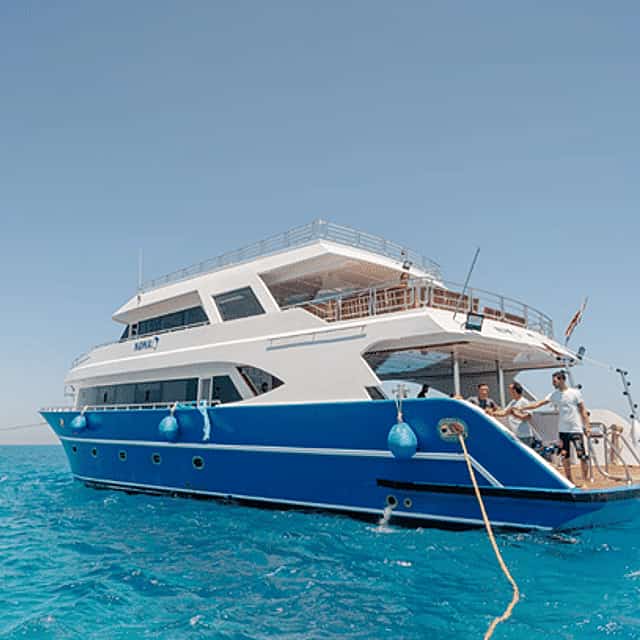 Day tour to Orange Bay Island Snorkeling and Diving Experience