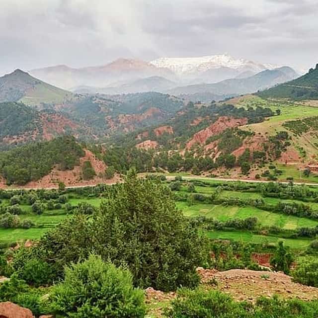 Zat Valley and Atlas Mountains Private Day Trip from Marrakech