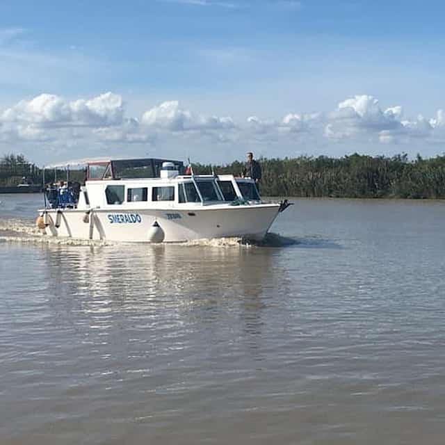 Po Delta Boat Tour: Explore Isola dell’Amore & Nature