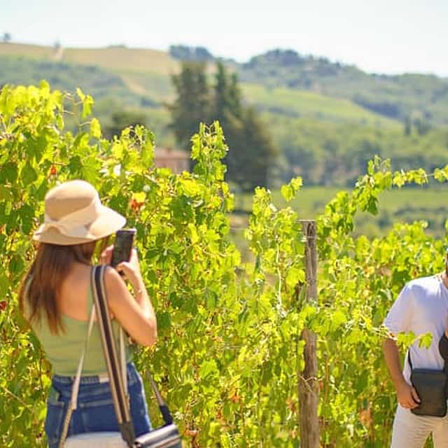 Florence to Chianti wine region with 2 wine tastings and vineyards escape