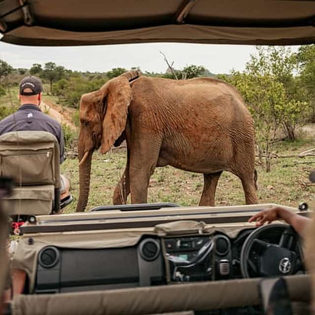 Tanzanie Safari : Serengeti, Ngorongoro et Lac Manyara | Expérience Faune des Big Five