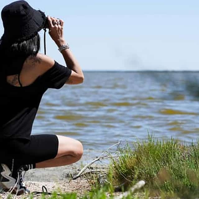 Comacchio Valleys: nature hike to the Boscoforte Peninsula among wild horses and lagoon landscapes