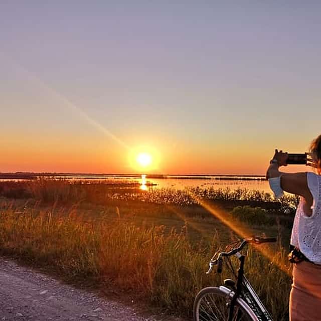 Bike tour in the Comacchio Valleys: admire flamingos at sunset