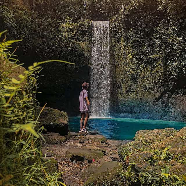 Bali: Ubud Highlight Tour (All Inclusive)