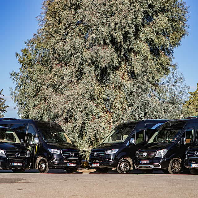 Athens Private Tour