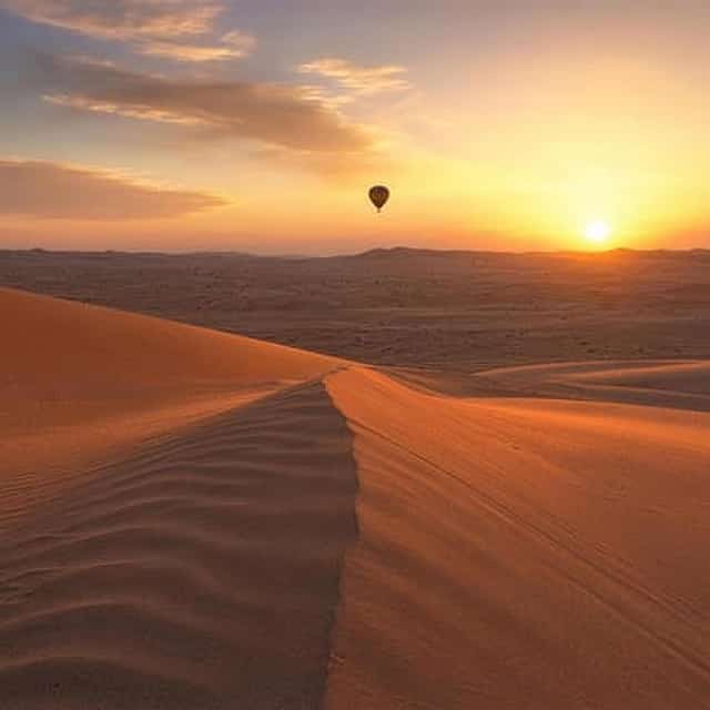 Morning Desert Safari with Honey Bee Garden