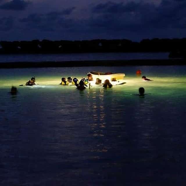Night Snorkeling Experience in Mirissa