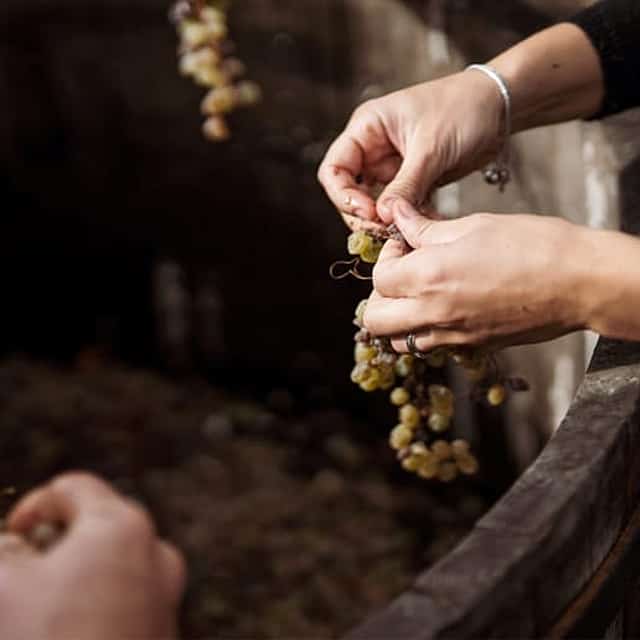 Cinqueterre, Volastra Winery: Wine & Sciacchetrà Tasting