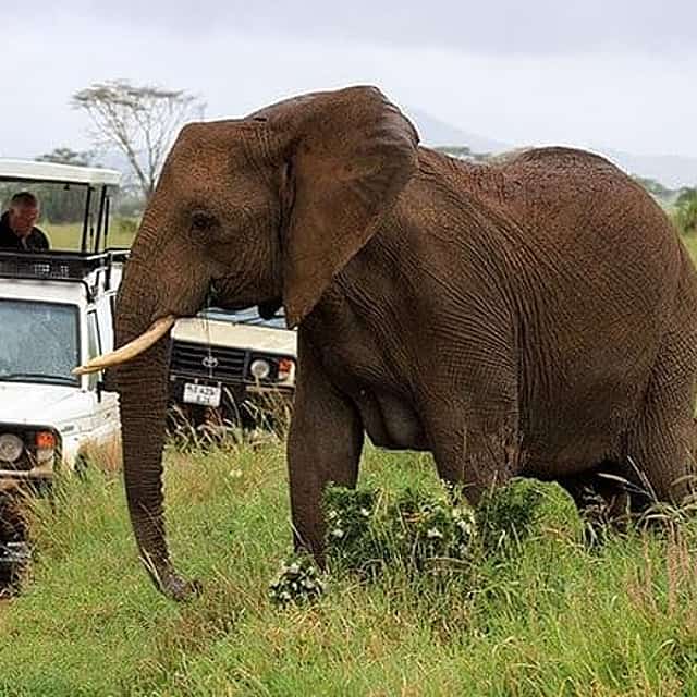 Private 10 Days Best of Kenya Wildlife Safari Holiday