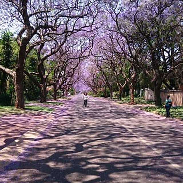 Excursión por la ciudad de Pretoria - en Español