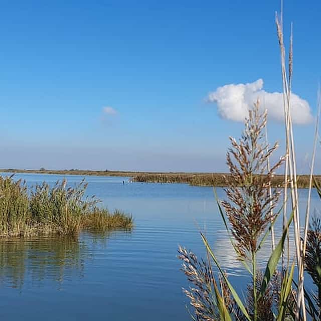 Po Delta Sunset Boat Tour: Explore Isola dell’Amore & Nature with aperitif