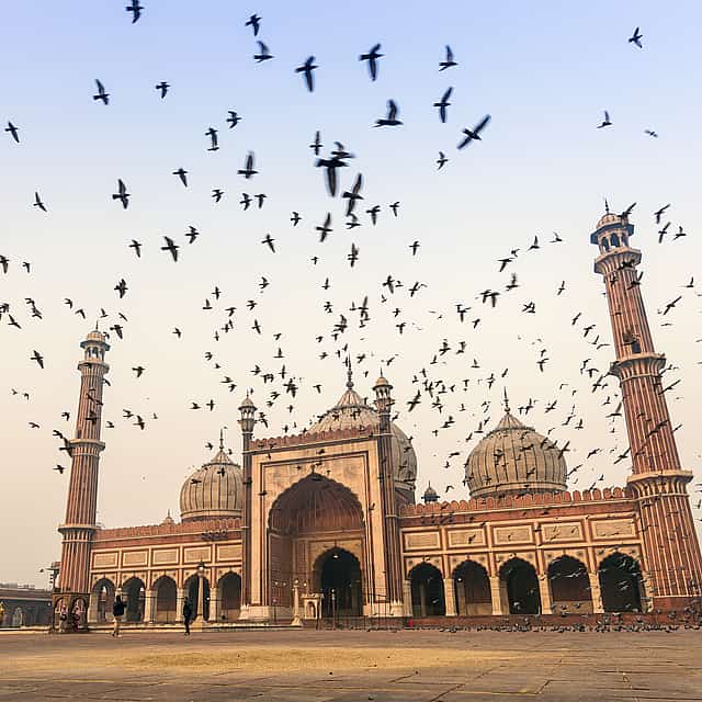 6-day Golden Triangle Tour