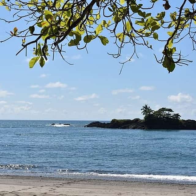 Direct Transfer From San Jose to Monteverde, English Speaking Driver