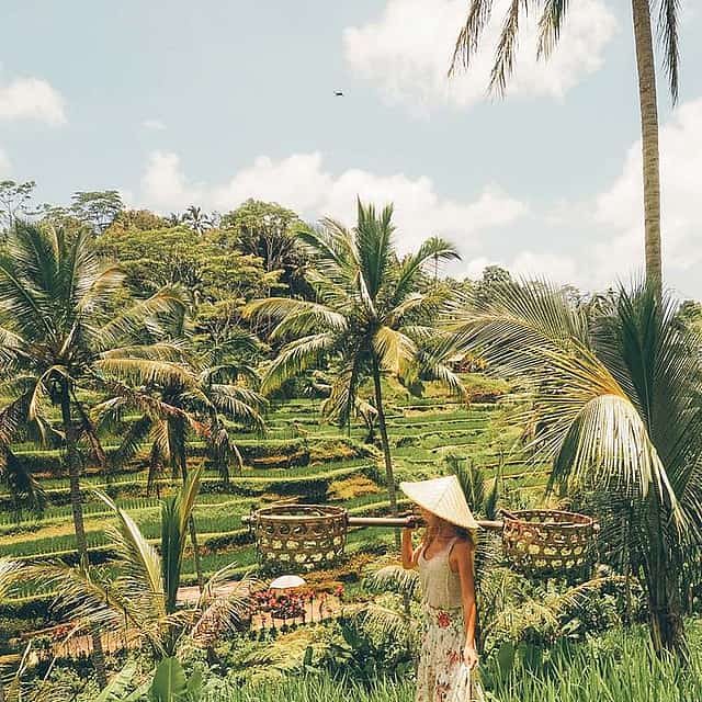 Jungle Swing ile Ubud Önemli Noktalar Turu