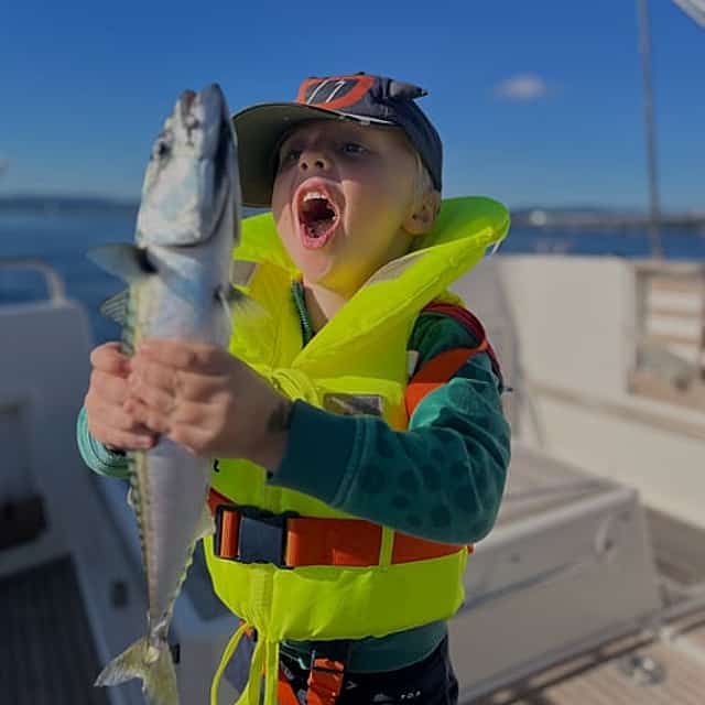 Outer Oslo Fjord Mackerel Fishing Daytrip