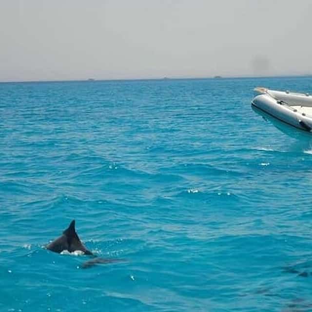 3 ساعات جولة صيد و سنوركلينج خاصة في الغردقة سفاجا