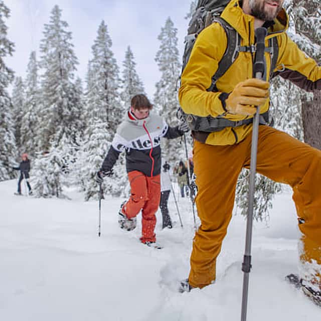 Private Snowshoe in Winter Wonderland Tour