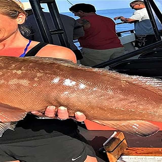 Fishing tour from Hurghada