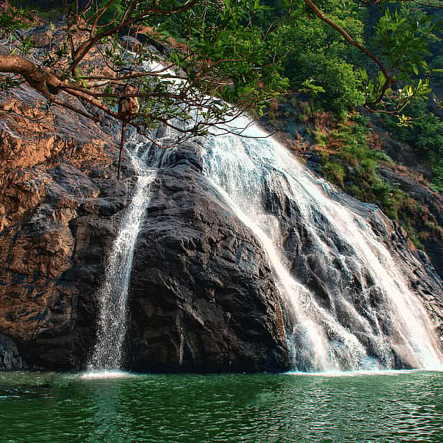 Dudhsagar Falls Tour